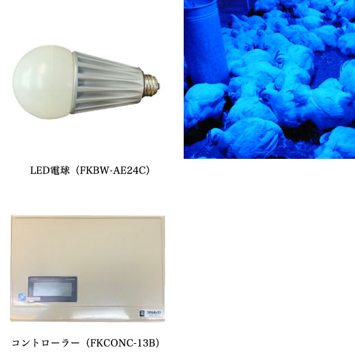 鶏舎用LED照明システム